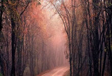 英媒：马竞密切关注西汉姆联岁前锋路易斯-吉列尔梅.