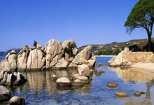 NG体育：合格三当家！里夫斯稳中求胜 11中5拿到12分8板3助2断.